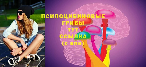 бутират Осинники