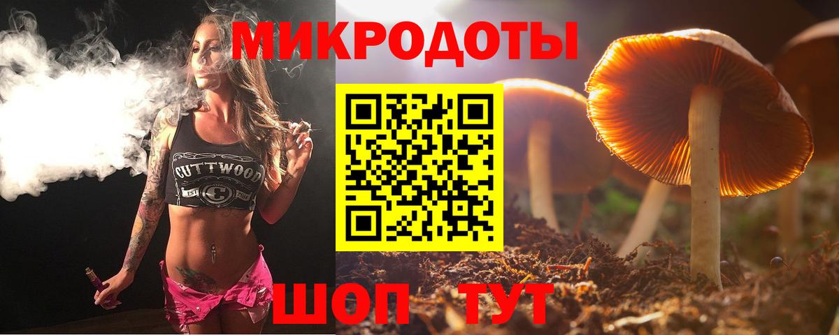 Псилоцибиновые грибы Psilocybine cubensis Белореченск