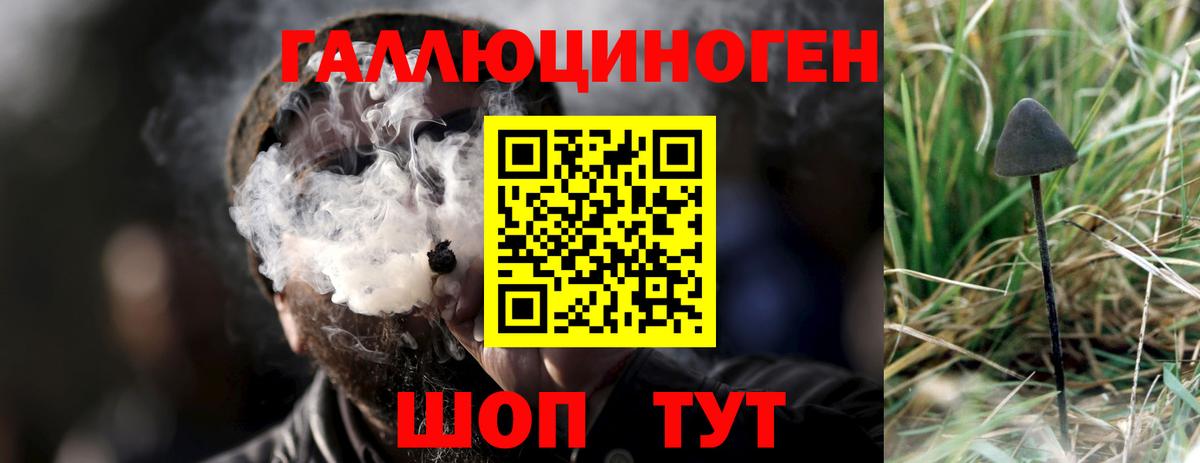 Псилоцибиновые грибы Magic Shrooms  Вход с VPN  продажа наркотиков  Белореченск  Псилоцибиновые грибы мицелий 