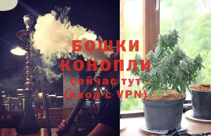 магазин  наркотиков  Белореченск  Марихуана SATIVA & INDICA 