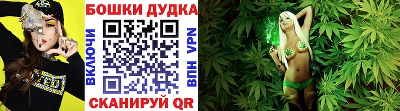 Конопля индика  где купить наркотик  сайты даркнета официальный сайт  Белореченск 
