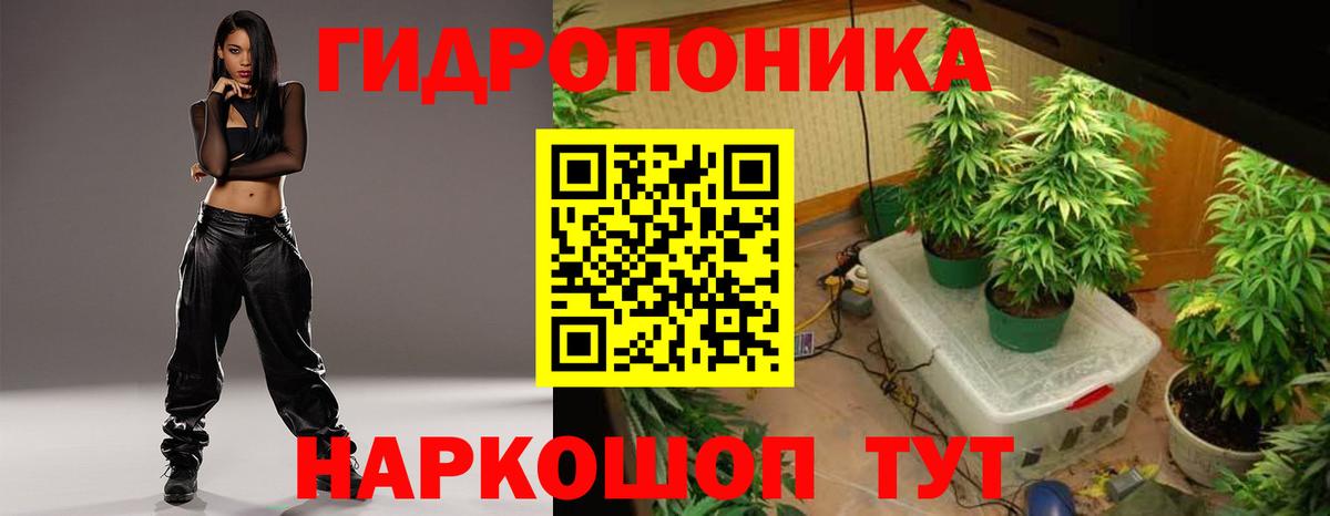 Конопля White Widow  Белореченск  Бошки Шишки White Widow 